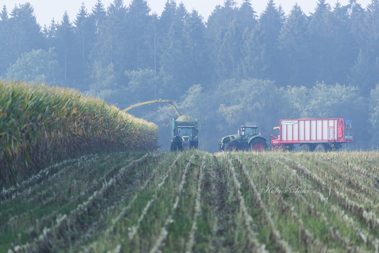 Bild 134 - Maisernte